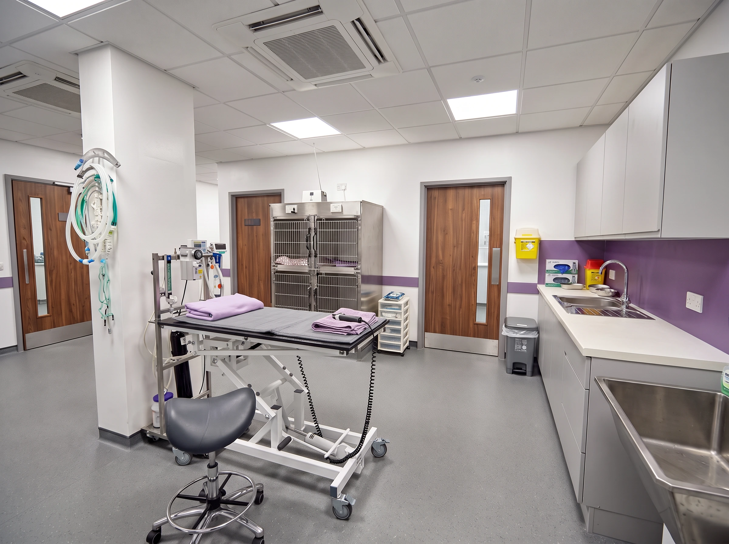 Architectural and interior design for a veterinary practice refurbishment. Internal view of the prep area.