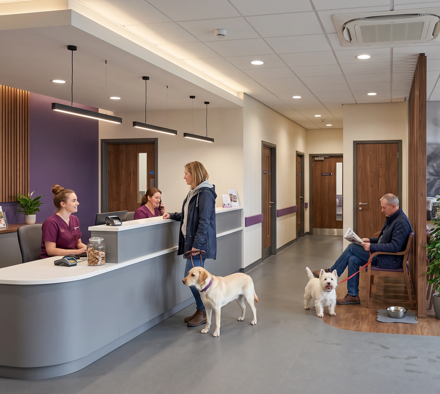 Reception and waiting area of a refurbished veterinary clinic in Hull