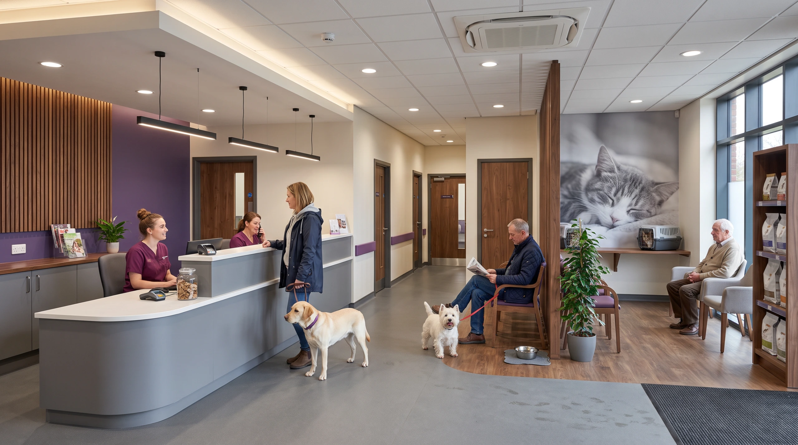 Architectural and interior design for a veterinary practice refurbishment. Internal view of the reception and waiting area.